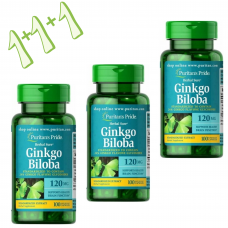 Puritan's Pride Ginkgo Biloba Standardized Extract 120 mg, 3 x100 capsules