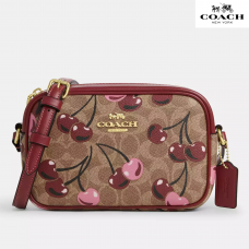 Coach сумочка Mini Jamie Camera из канвас и гладкой кожи с коричневыми вишнями