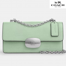 Coach Eliza Flap Crossbody leather/Silver/Pale Green